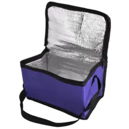 Oxford 6-Can Cooler